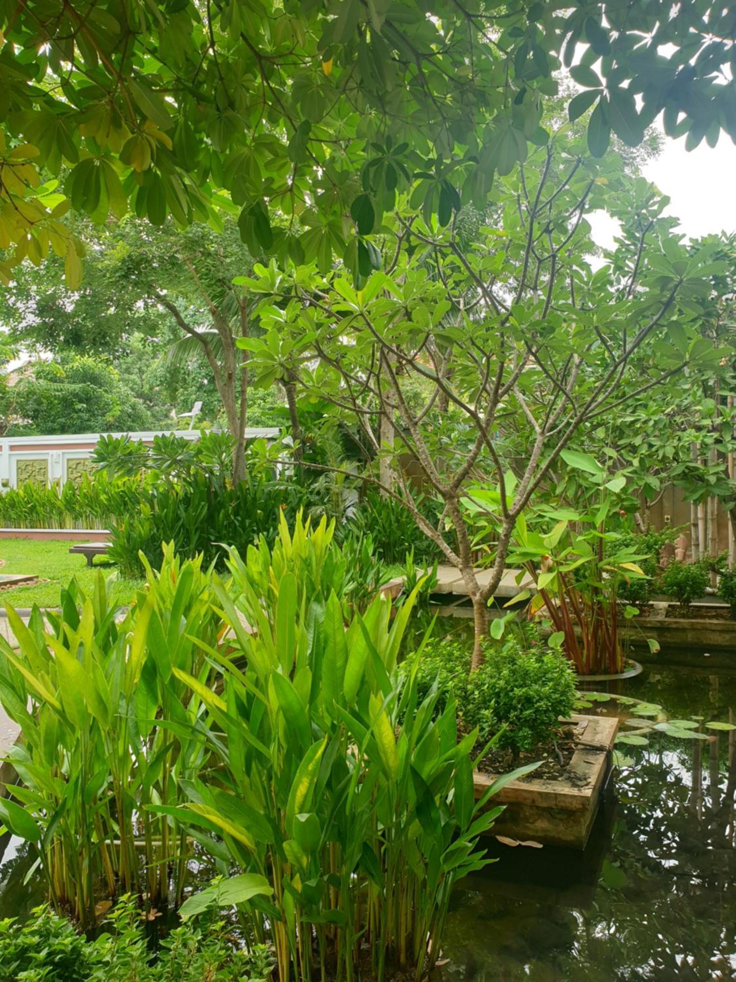 Bamboo Retreat Villa เสียมราฐ ภายนอก รูปภาพ